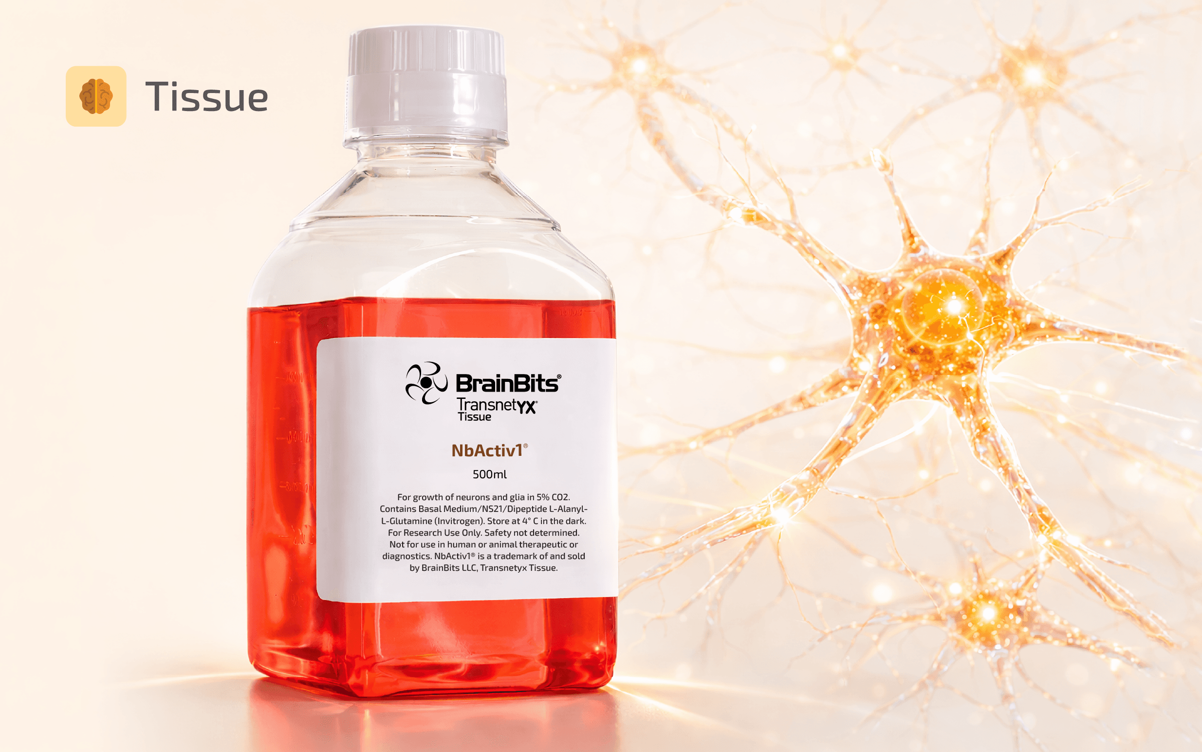 Bottle of YX Tissue BrainBits NbActiv1growth media